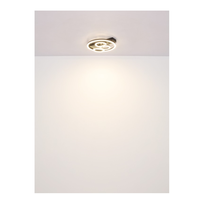 Globo - LED Stmievateľné stropné svietidlo LED/40W/230V 2700-6500K pr. 35x33 cm + diaľkové ovládanie
