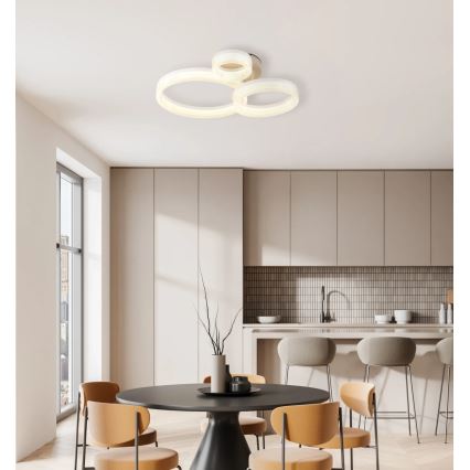 Globo - LED stropné svietidlo LED/24W/230V 3000K 40,5x51 cm