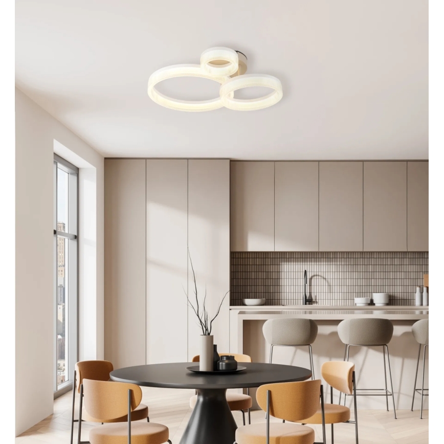 Globo - LED stropné svietidlo LED/24W/230V 3000K 40,5x51 cm