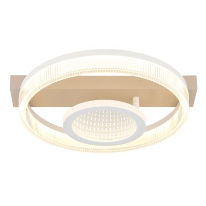 Globo - LED Stropné svietidlo LED/18W/230V 3000K 33x36 cm