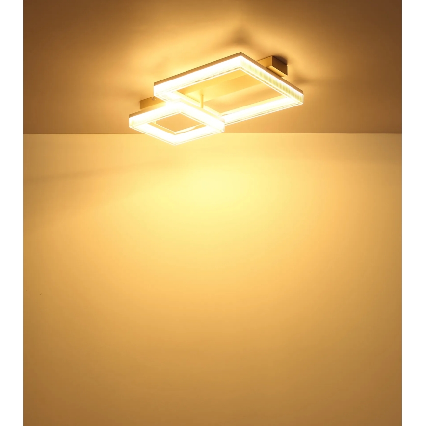 Globo - LED stropné svietidlo LED/24W/230V 3000K 33x53 cm
