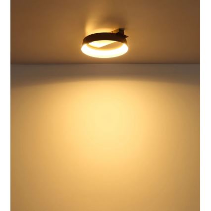 Globo - LED Stropné svietidlo LED/12W/230V 3000K 26x25 cm