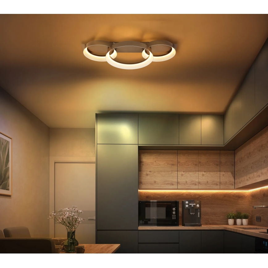 Globo - LED stropné svietidlo LED/40W/230V 3000K 70x35 cm