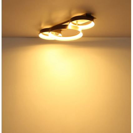 Globo - LED stropné svietidlo LED/40W/230V 3000K 70x35 cm