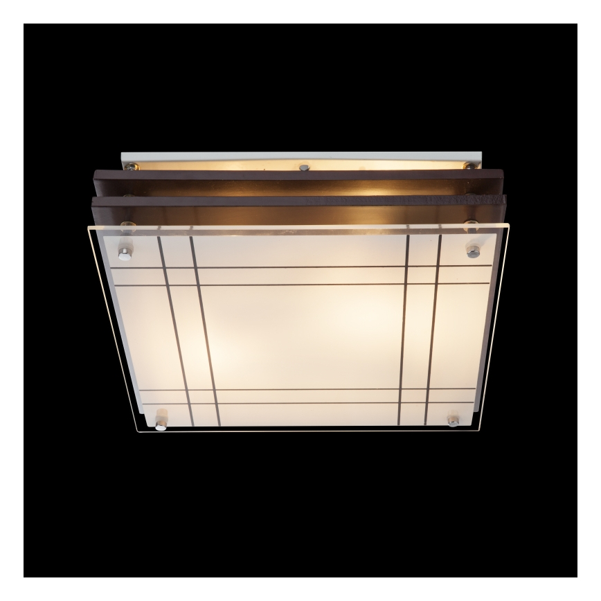 Globo - Stropné svietidlo 2xE27/60W/230V