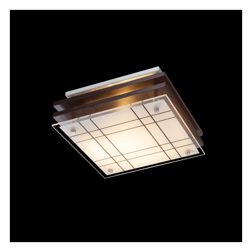 Globo - Stropné svietidlo 1xE27/60W