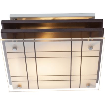 Globo - Stropné svietidlo 1xE27/60W