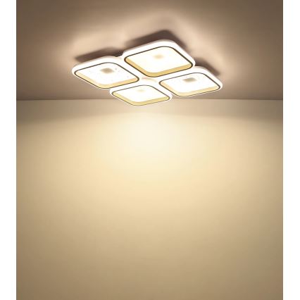 Globo - LED stmievateľné stropné svietidlo LED/55W/230V 2700-6000K 54x54 cm + diaľkové ovládanie