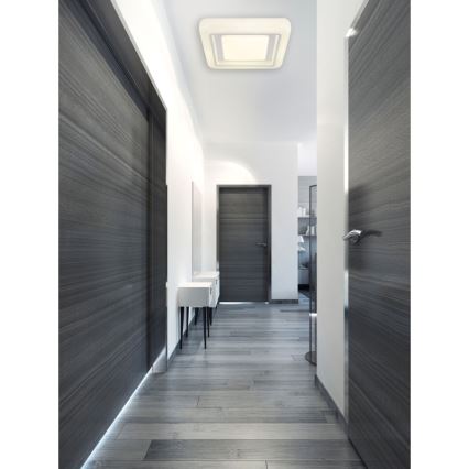 Globo - LED Stropné svietidlo LED/24W/230V 4000K 38x38 cm