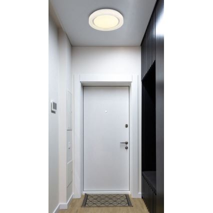 Globo - LED Stropné svietidlo LED/24W/230V 4000K pr. 38 cm