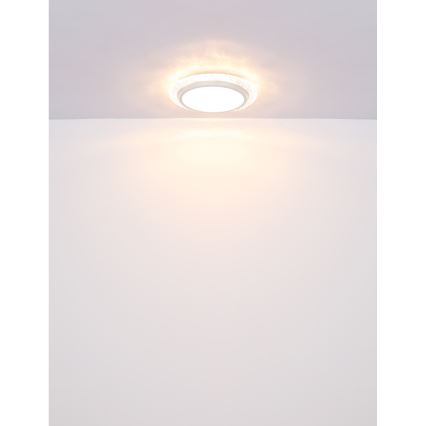 Globo - LED Stropné svietidlo LED/22W/230V 3000K pr. 40 cm