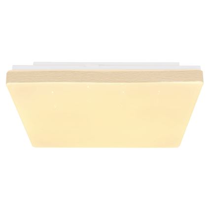 Globo - LED Stropné svietidlo LED/12W/230V