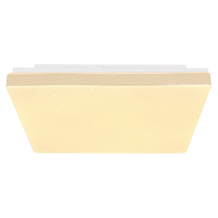 Globo - LED Stropné svietidlo LED/12W/230V