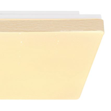 Globo - LED Stropné svietidlo LED/12W/230V