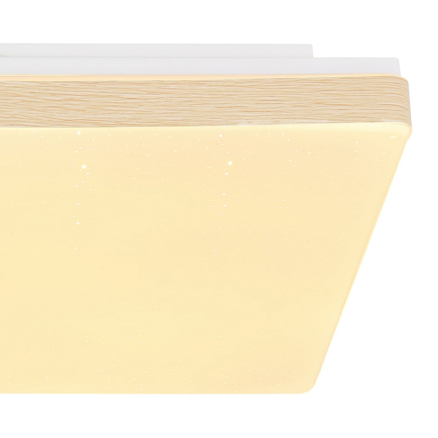 Globo - LED Stropné svietidlo LED/12W/230V