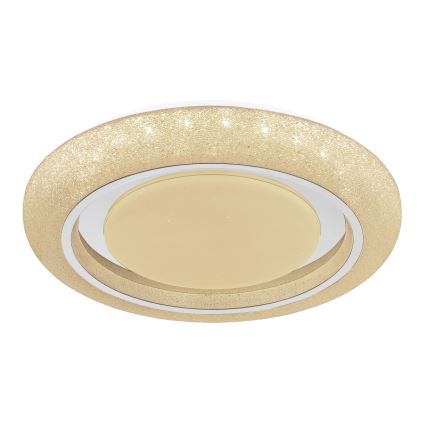 Globo 483111-40 - LED Stropné svietidlo RADA LED/40W/230V 2700/4200/6500K pr. 49 cm