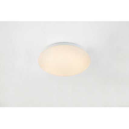 Globo - LED RGB Stmievateľné stropné svietidlo 1xLED/12W/230V + 1xLED/3W
