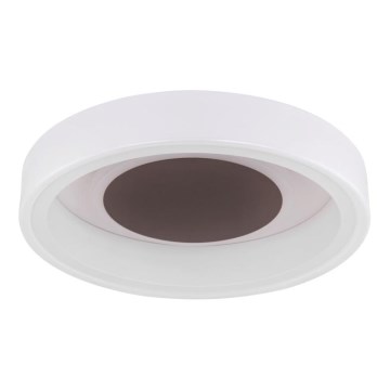 Globo 48398-24 - LED Stropné svietidlo GOFFI LED/30W/230V