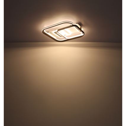 Globo 48459-48 - LED stmievateľné stropné svietidlo ANI LED/48W/230V 2700-6000K 48x52 cm + diaľkové ovládanie