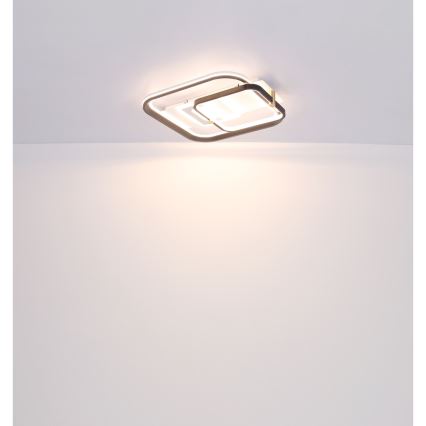 Globo 48459-48 - LED stmievateľné stropné svietidlo ANI LED/48W/230V 2700-6000K 48x52 cm + diaľkové ovládanie