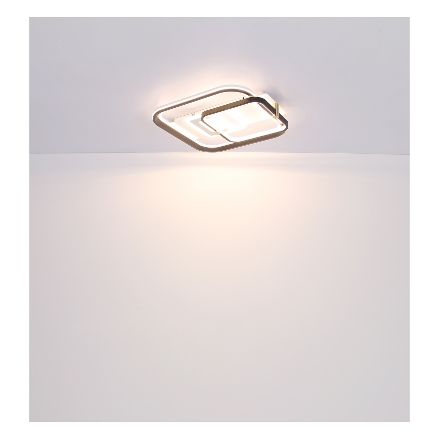 Globo 48459-48 - LED stmievateľné stropné svietidlo ANI LED/48W/230V 2700-6000K 48x52 cm + diaľkové ovládanie