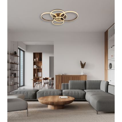 Globo - LED Stropné svietidlo LED/70W/230V 3000K 88x110 cm antracit