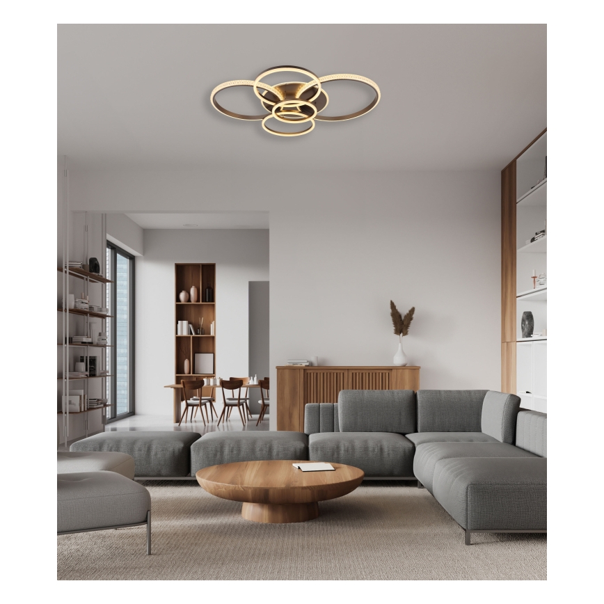 Globo - LED Stropné svietidlo LED/70W/230V 3000K 88x110 cm antracit