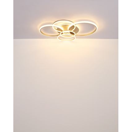 Globo - LED Stropné svietidlo LED/70W/230V 3000K 88x110 cm béžová