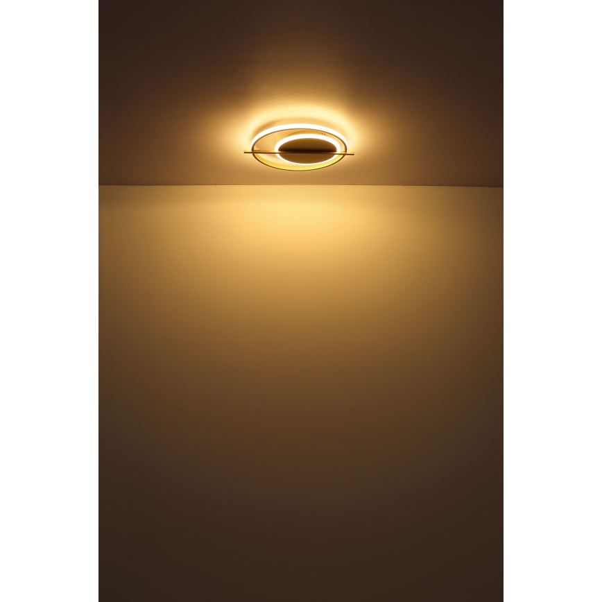 Globo - LED Stropné svietidlo LED/36W/230V