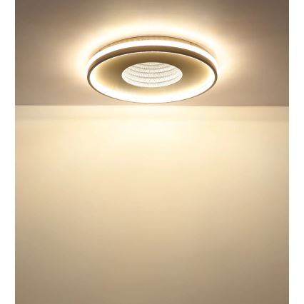 Globo - LED Stmievateľné stropné svietidlo LED/40W/230V 2700-6500K pr. 50,5 cm + diaľkové ovládanie