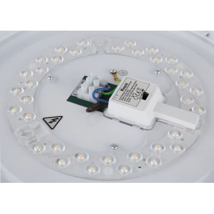 Globo - LED stropné svietidlo LED/24W/230V 3000/4000/6000K priemer 38 cm matný chróm