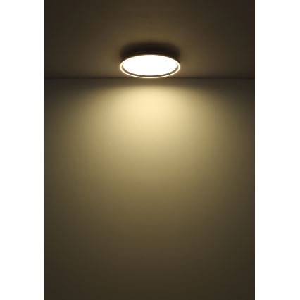 Globo - LED Stmievateľné stropné svietidlo LED/48W/230V pr. 50 cm 2700-6000K + diaľkové ovládanie