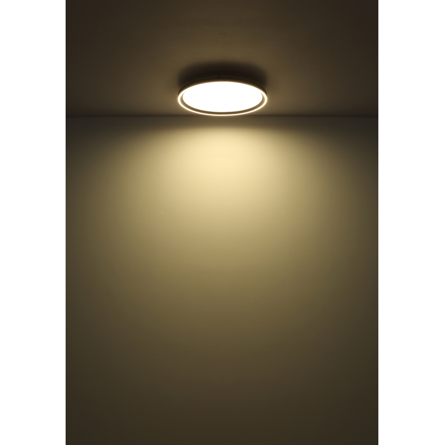 Globo - LED Stmievateľné stropné svietidlo LED/48W/230V pr. 50 cm 2700-6000K + diaľkové ovládanie