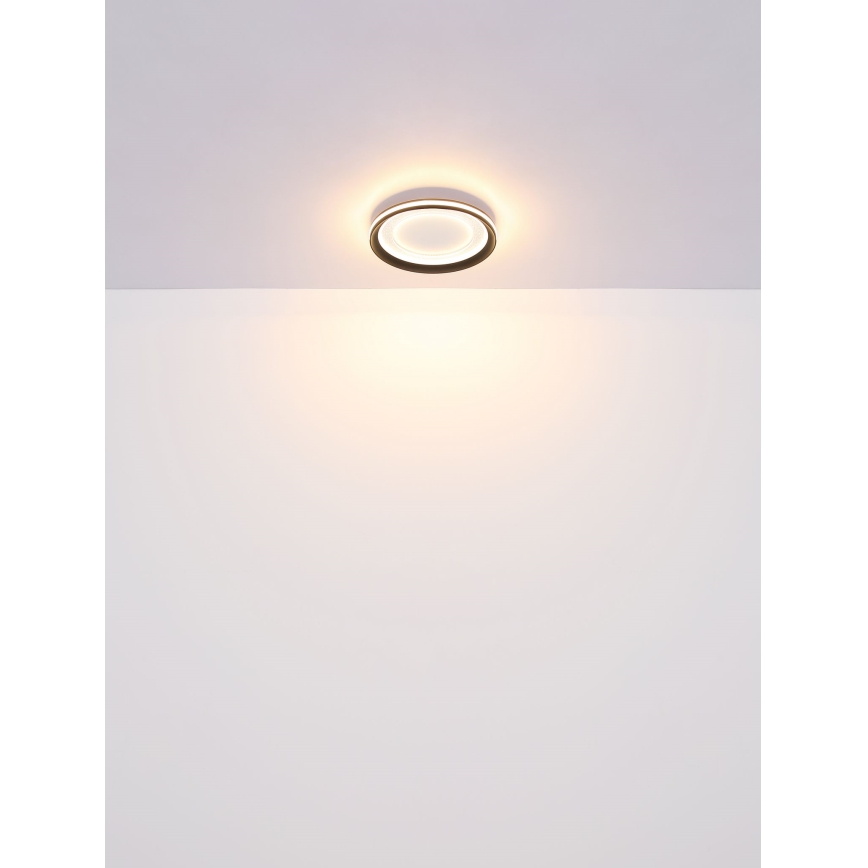 Globo - LED Stropné svietidlo LED/18W/230V pr. 30,2 cm