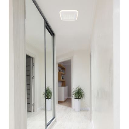 Globo - LED Stropné svietidlo LED/12W/230V 4000K
