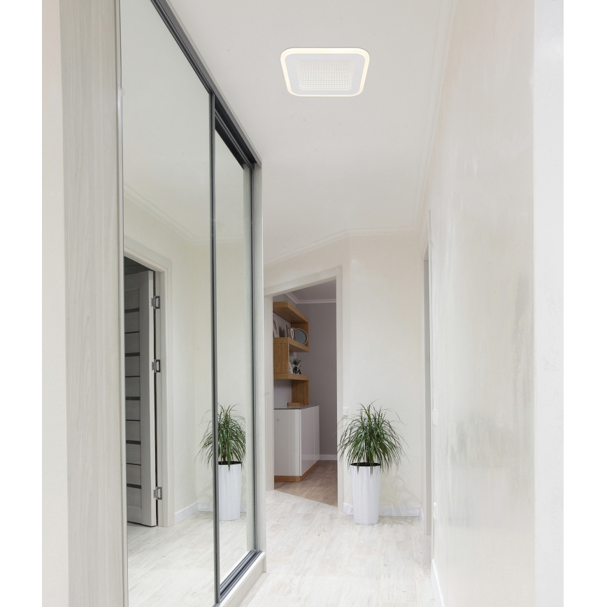 Globo - LED Stropné svietidlo LED/12W/230V 4000K