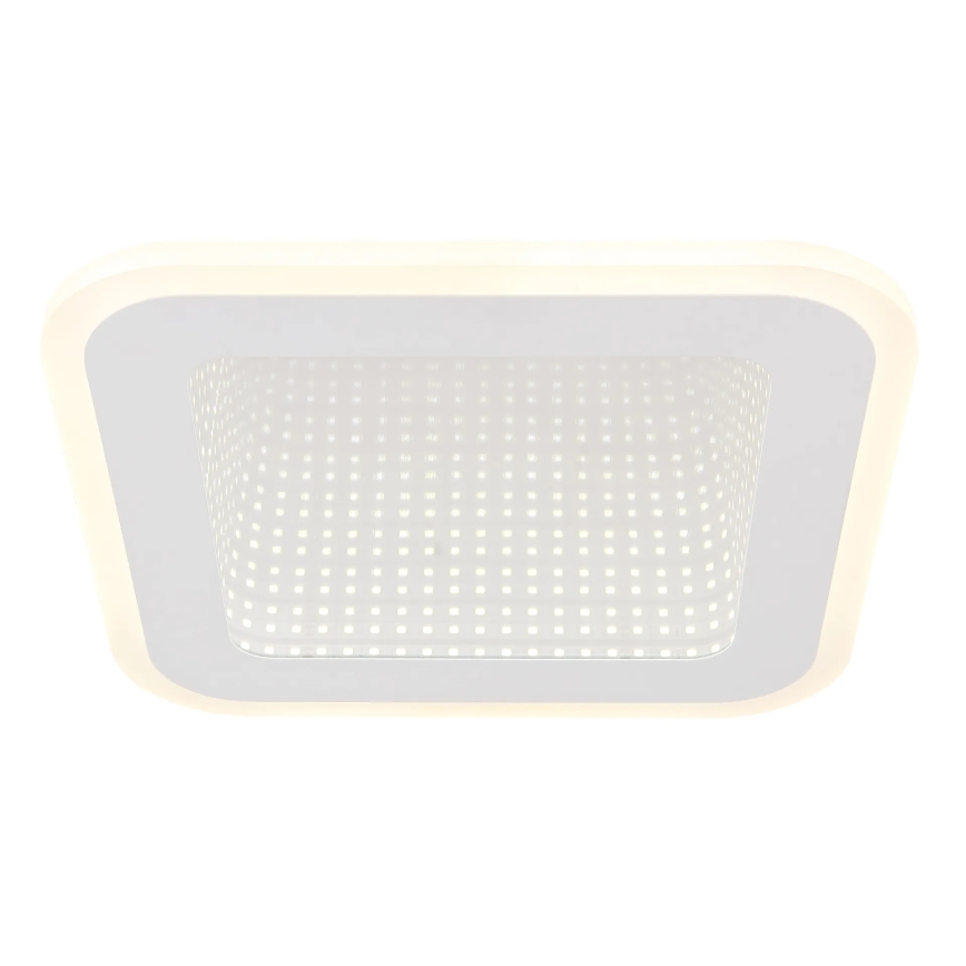 Globo - LED Stropné svietidlo LED/12W/230V 4000K