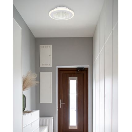 Globo - LED Stropné svietidlo LED/12W/230V 4000K