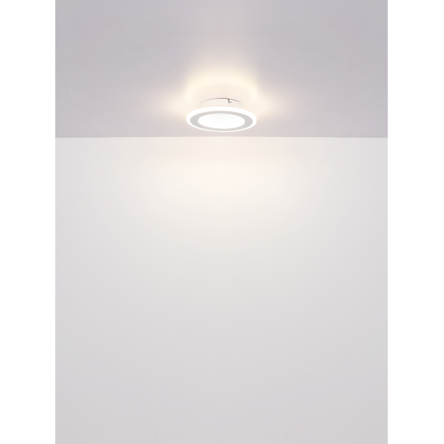 Globo - LED Stropné svietidlo LED/12W/230V 4000K
