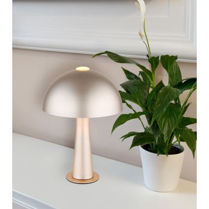 Globo - Stolná lampa 1xE14/25W/230V matný chróm