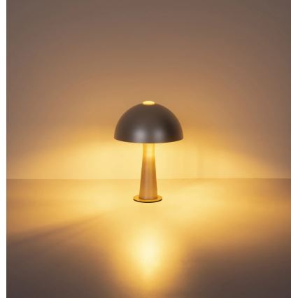 Globo - Stolná lampa 1xE14/25W/230V matný chróm
