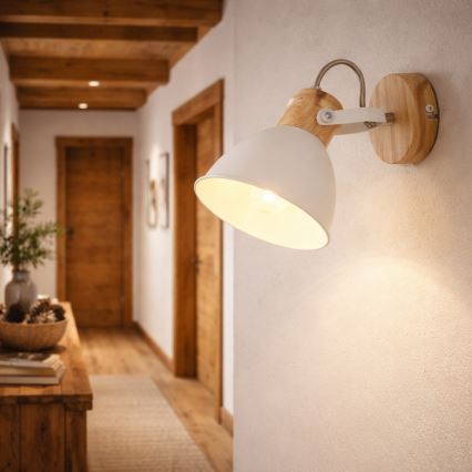 Globo - Nástenné bodové svietidlo 1xE27/40W/230V