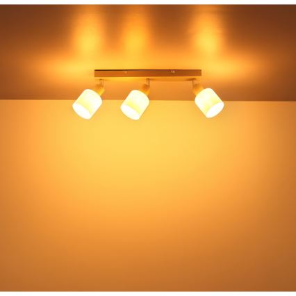 Globo - Bodové svietidlo 3xE14/25W/230V