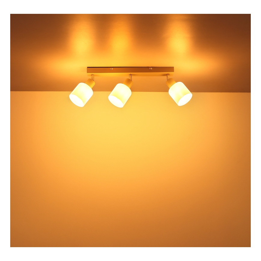 Globo - Bodové svietidlo 3xE14/25W/230V