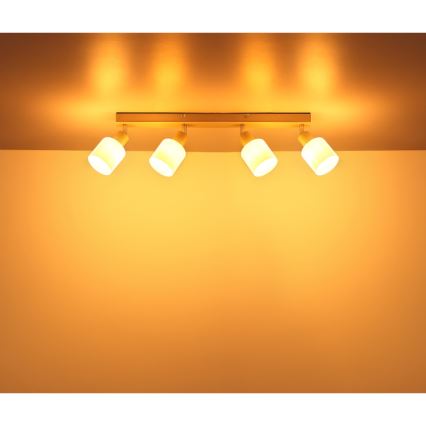 Globo - Bodové svietidlo 4xE14/25W/230V
