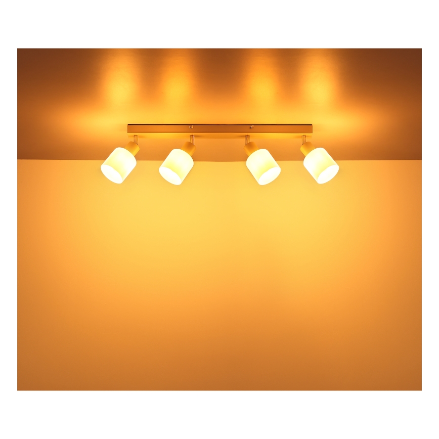 Globo - Bodové svietidlo 4xE14/25W/230V