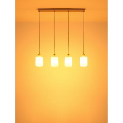 Globo - Luster na lane 4xE27/40W/230V