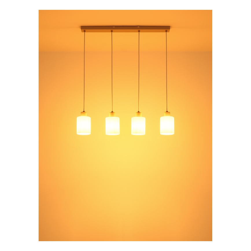 Globo - Luster na lane 4xE27/40W/230V