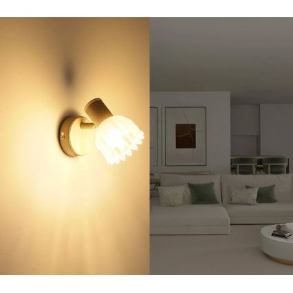 Globo - Nástenné bodové svietidlo 1xE14/40W/230V