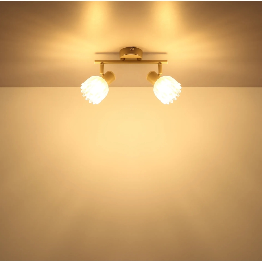 Globo - Bodové svietidlo 2xE14/40W/230V